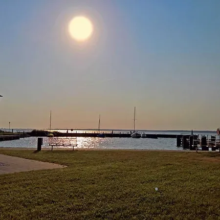 Boddenschwalbe Bodstedt